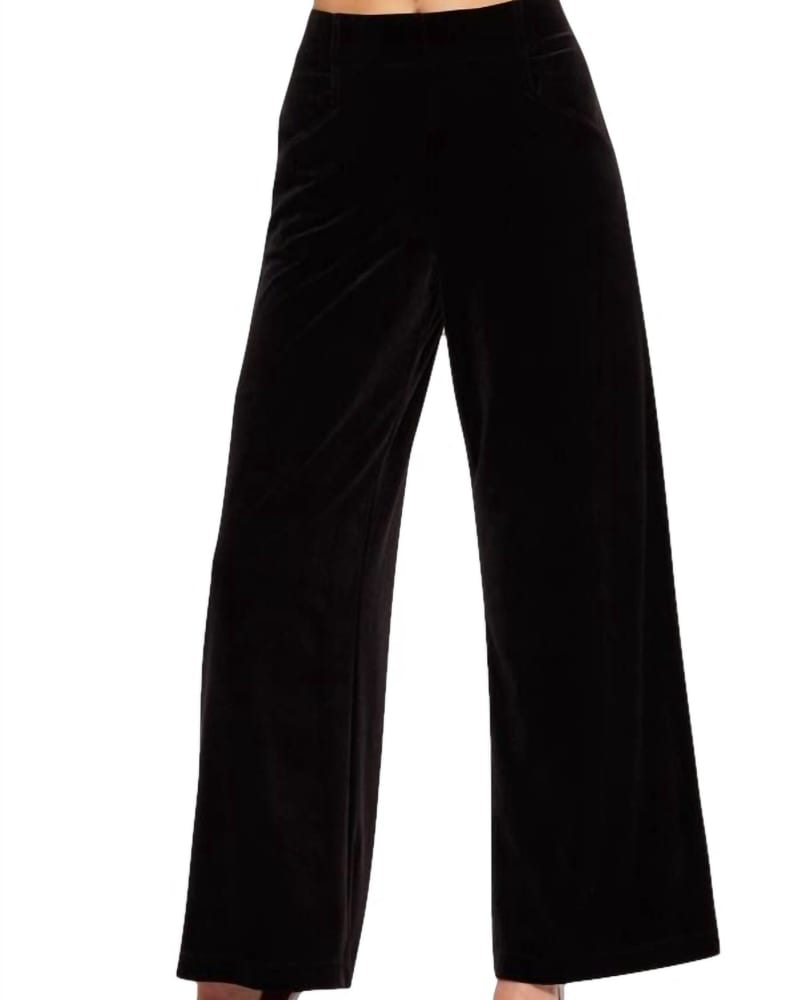 Front of a model wearing a size 14 Hepburn Pant In Black Velvet in Black Velvet by EVA FRANCO. | dia_product_style_image_id:354438